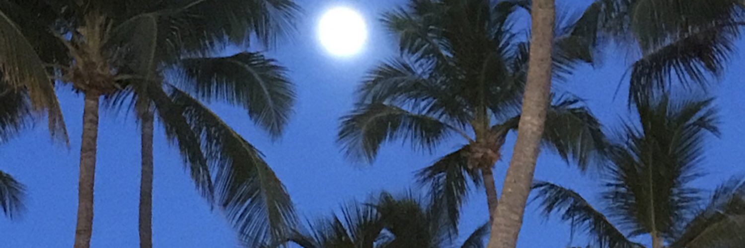 TDuncan_Diff's profile banner image