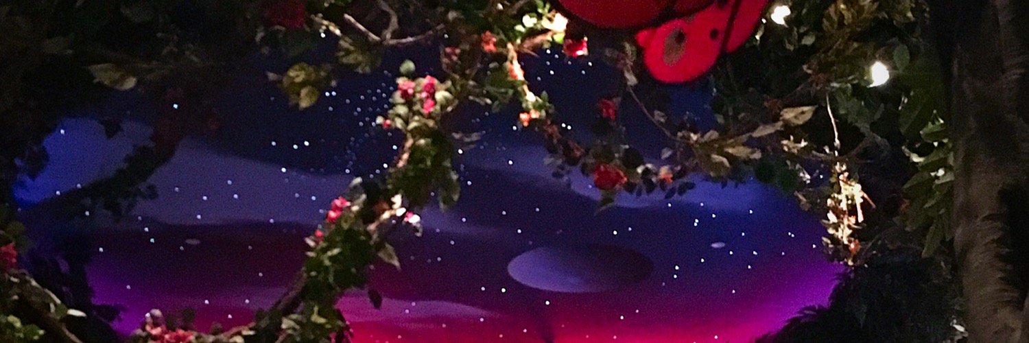 SarahRo22's profile banner image
