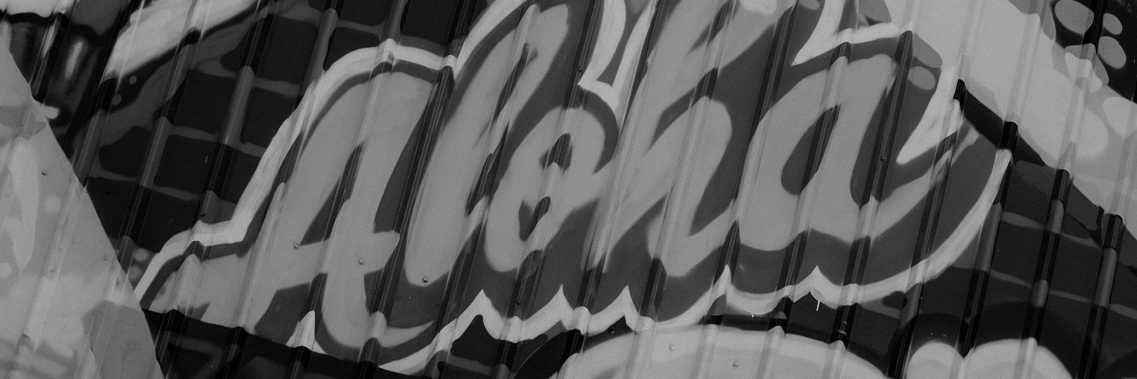 BIG BOONIE banner