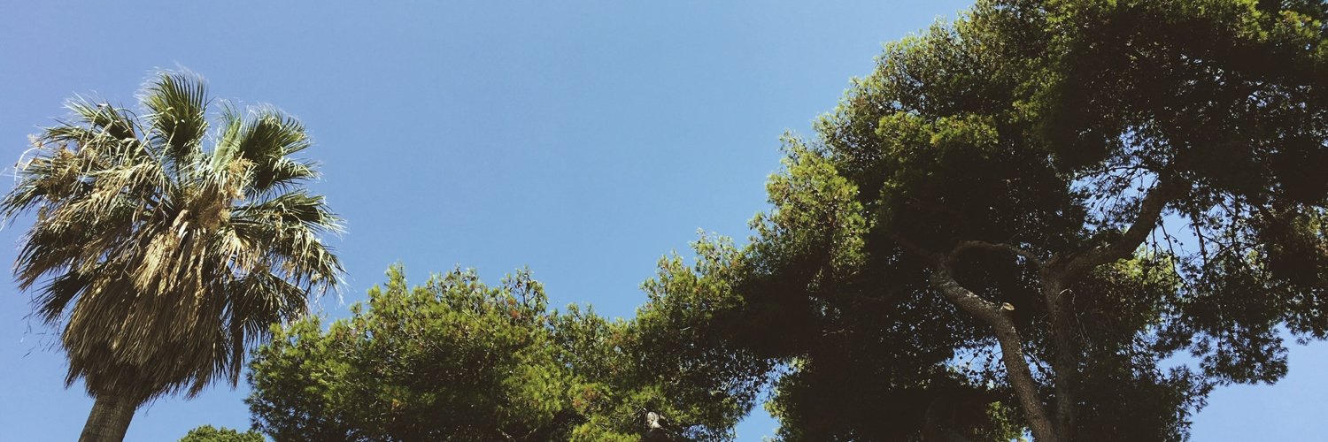 paulrnsn's profile banner image