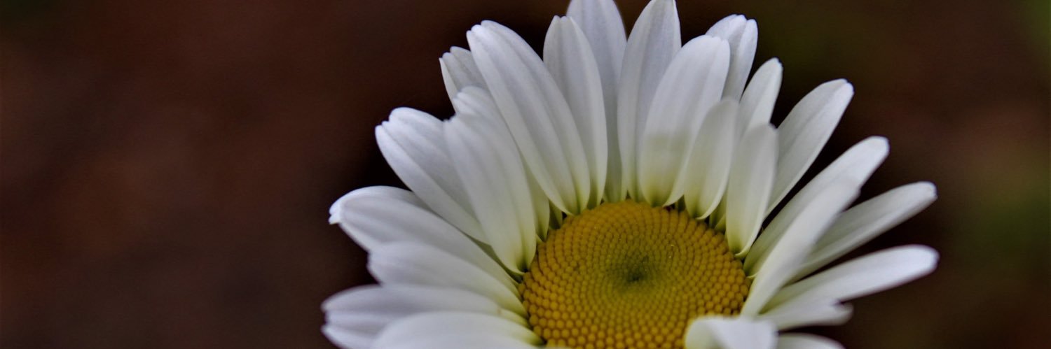 Some_Real_Shit_'s profile banner image