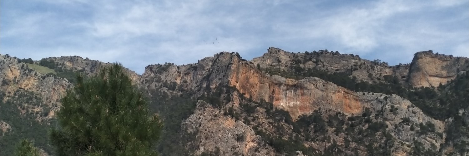 29artemis's profile banner image
