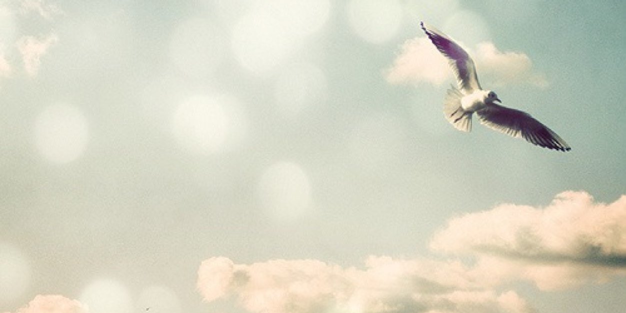 j0oo0dy's profile banner image