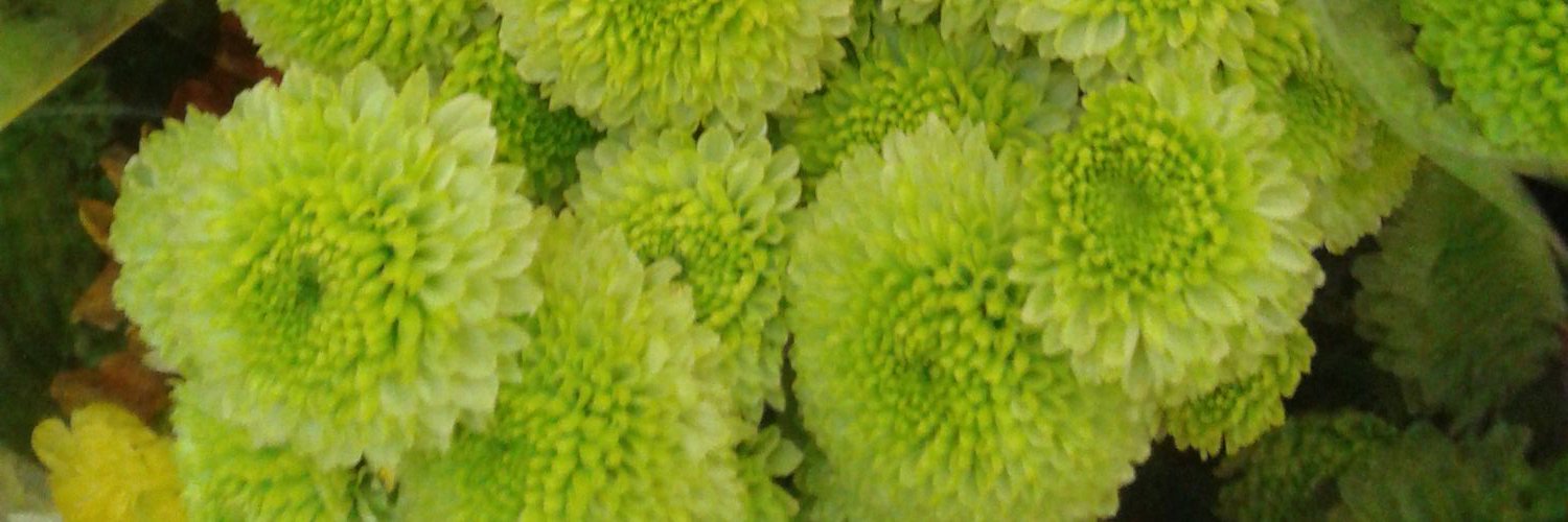 Aguilla0's profile banner image
