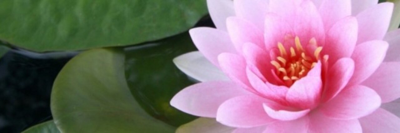 kmillich's profile banner image