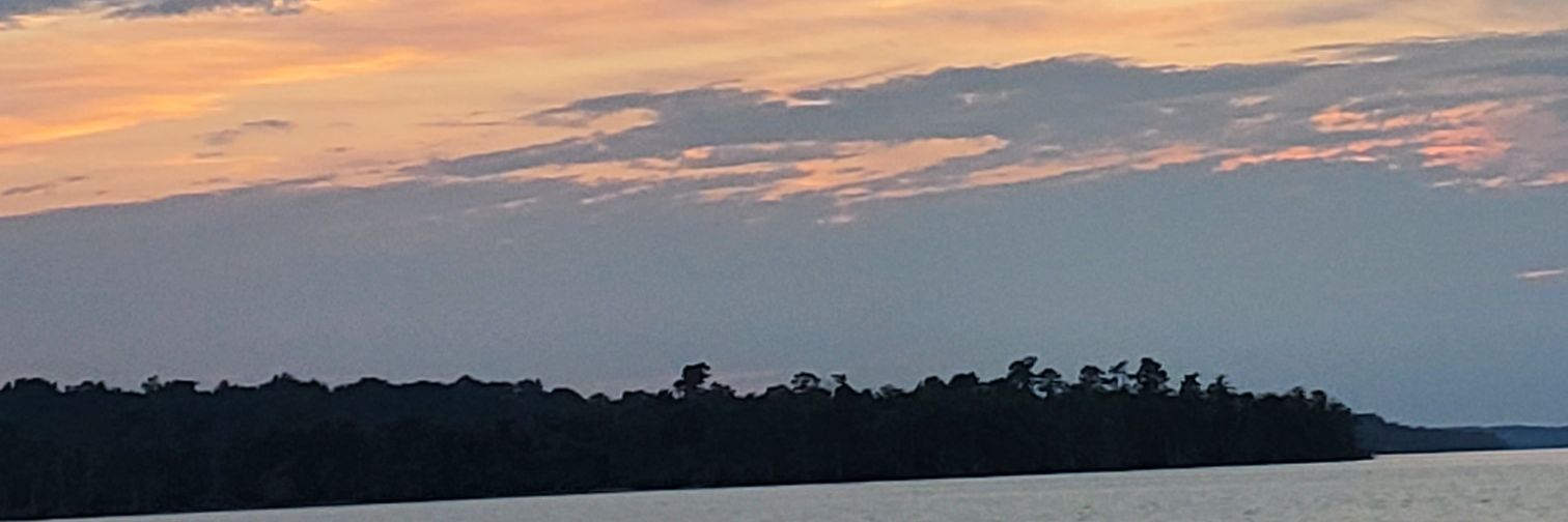 michellegates25's profile banner image