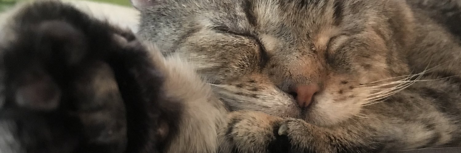 sumtweetet's profile banner image