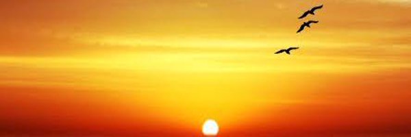 Pradeep_Mahaur Profile Banner