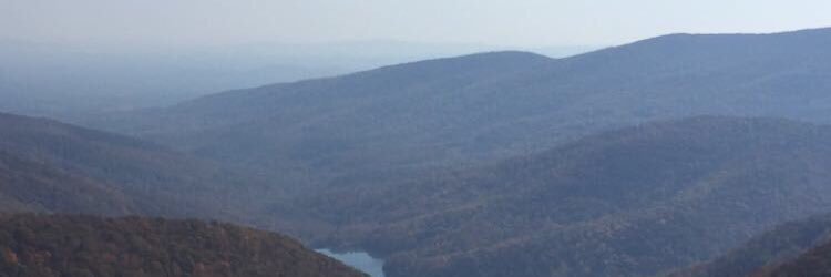 Cal_Martin17's profile banner image