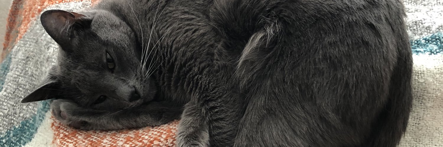 jillta3's profile banner image