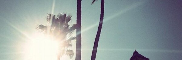 MobileAppVault Profile Banner