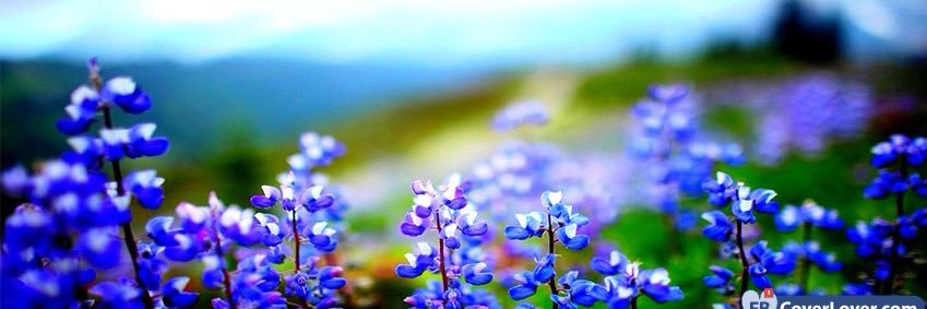 Manders_792's profile banner image