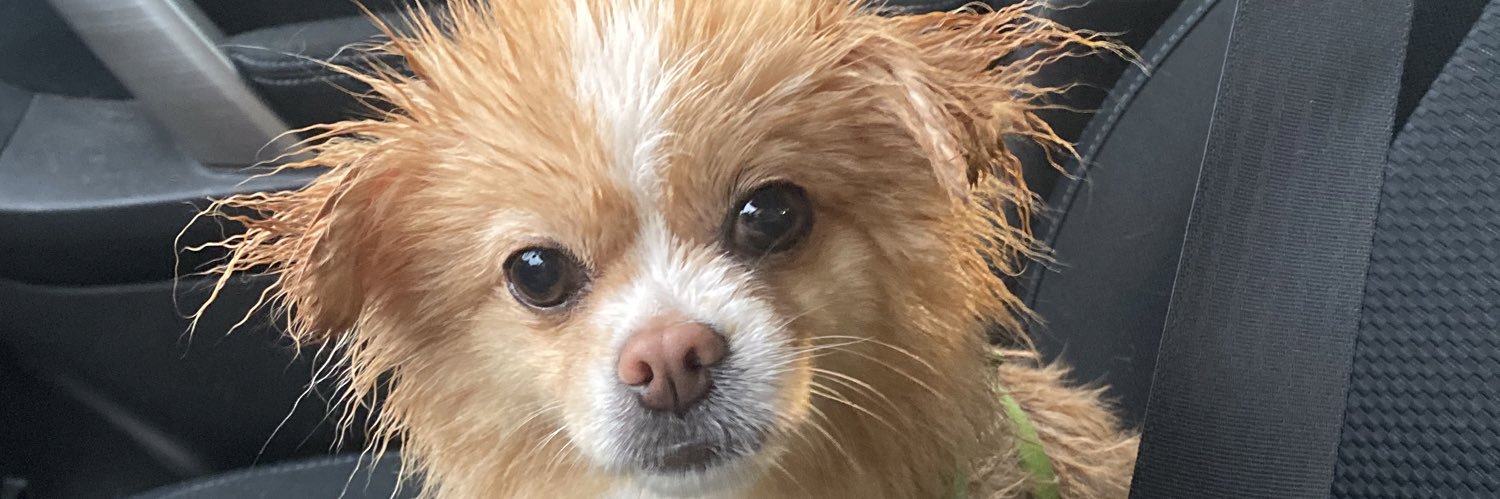 jujnificent's profile banner image