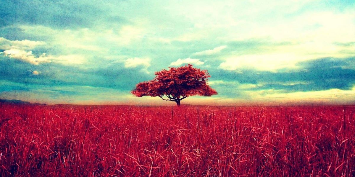 _umaprincess's profile banner image