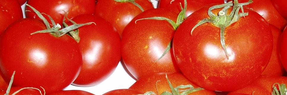 cocinablogs's profile banner image