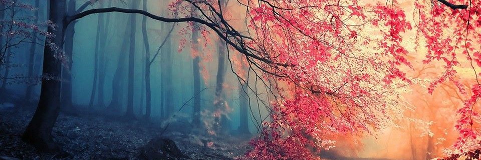 Lauraaa__9's profile banner image