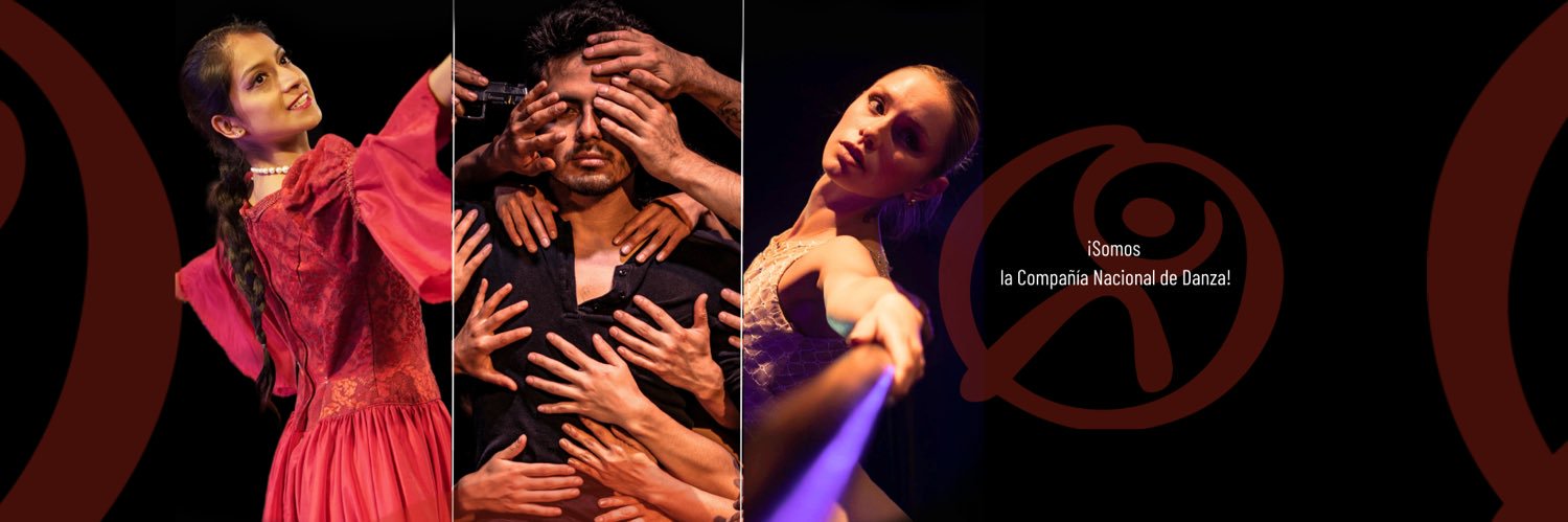 Danza_Ec's profile banner image