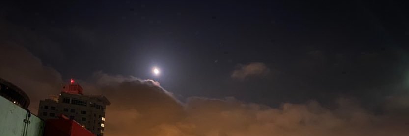 rosegantz's profile banner image