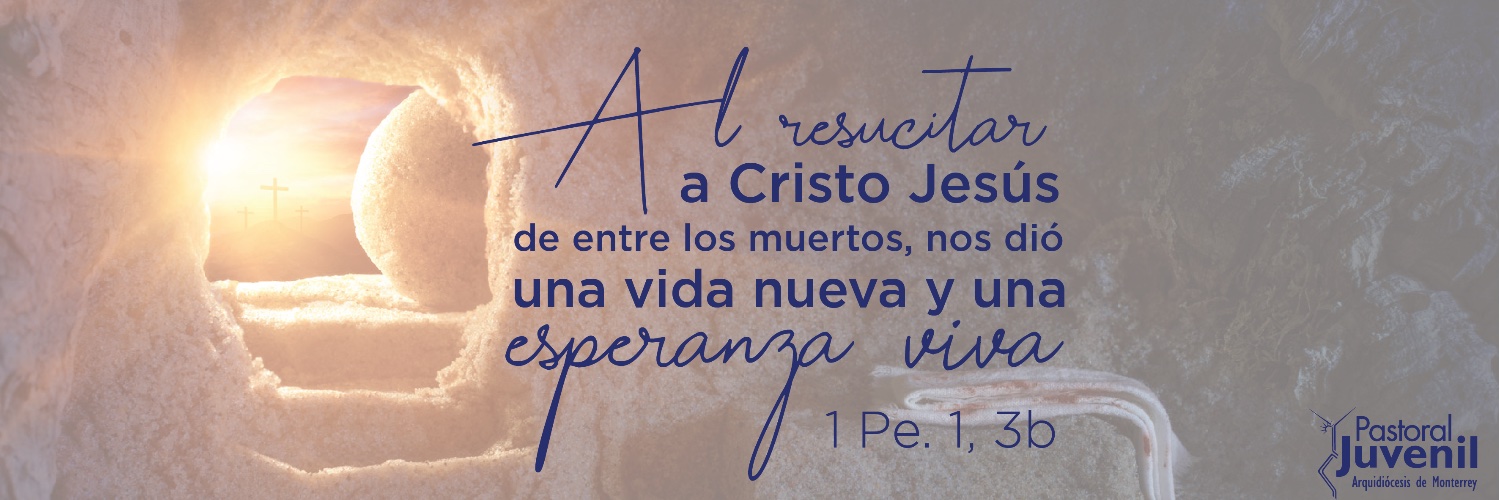 PJMonterrey's profile banner image