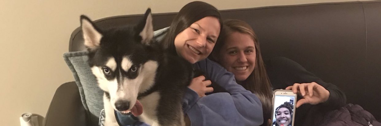 abbybrownie72's profile banner image