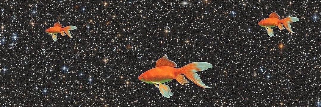 guygodines's profile banner image
