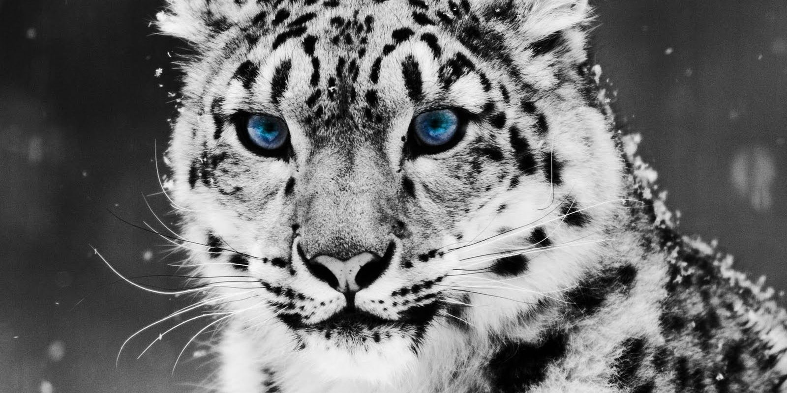 ilkinDemir's profile banner image