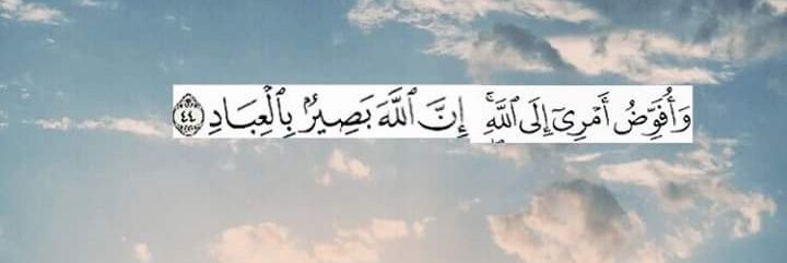 Sara__Elsayed's profile banner image
