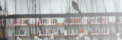 RBHS Library Learning Commons banner