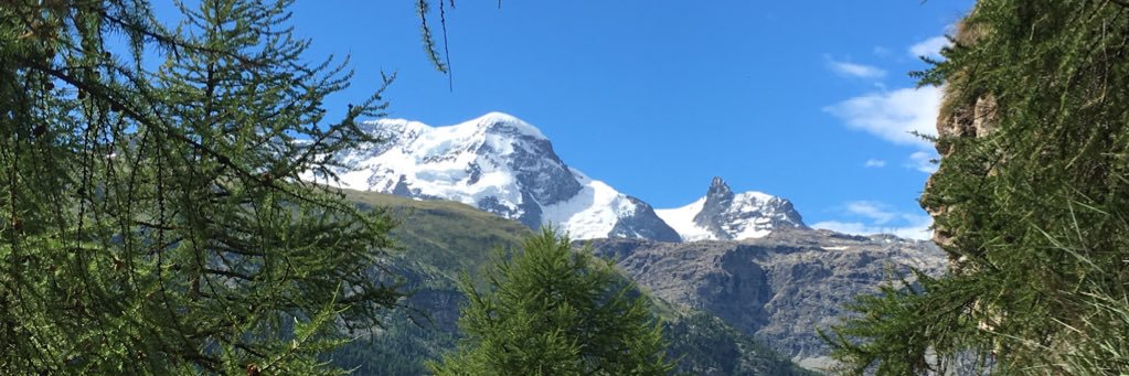 AFischer231's profile banner image