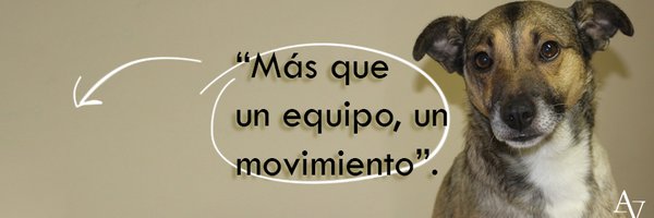 GIAnimalista Profile Banner