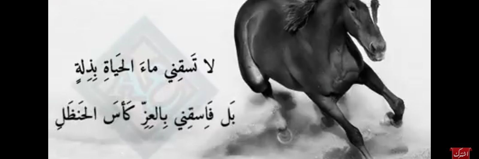 AlmasriAnas's profile banner image