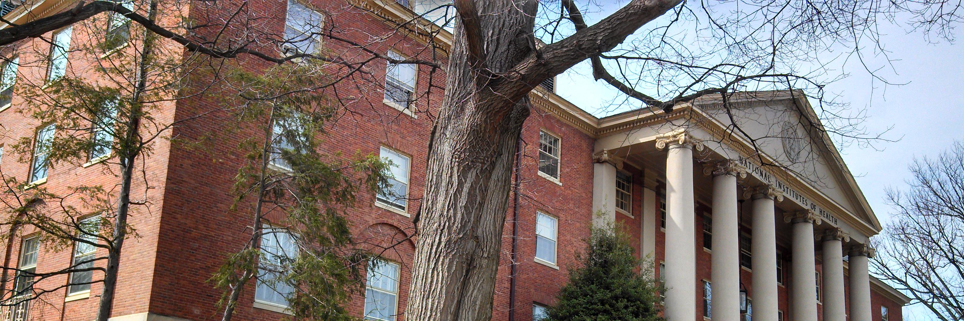 NIH Common Fund's banner