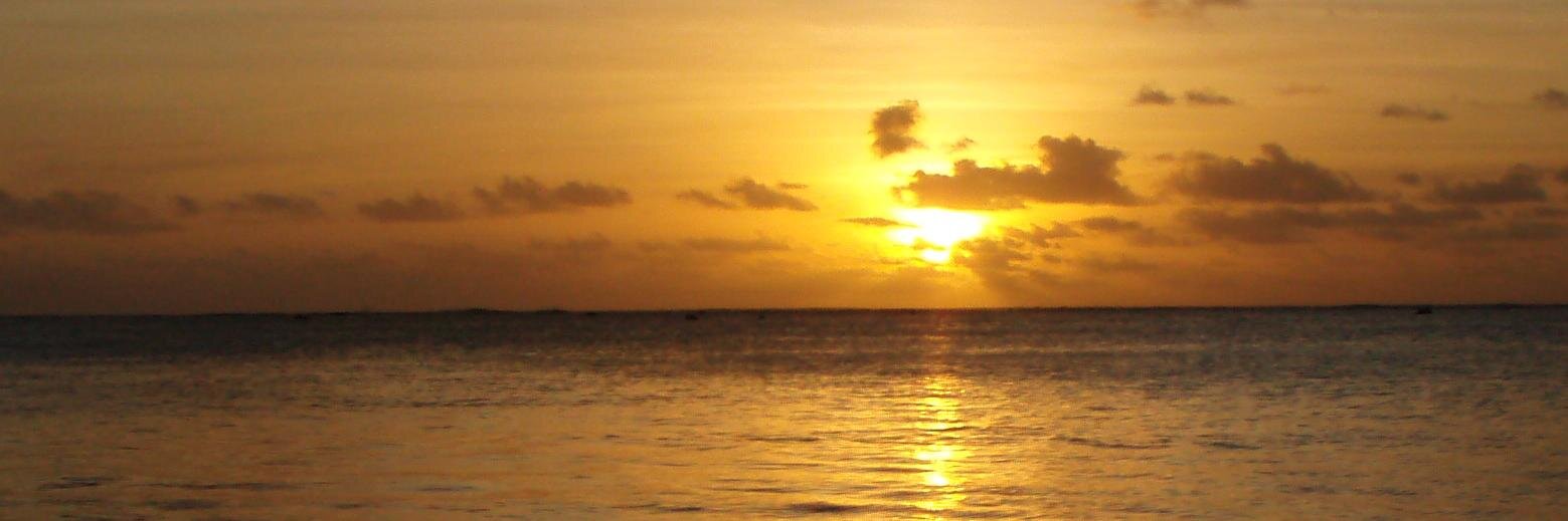 uk_crunch💙🏏🐶💙🇺🇦💛 banner