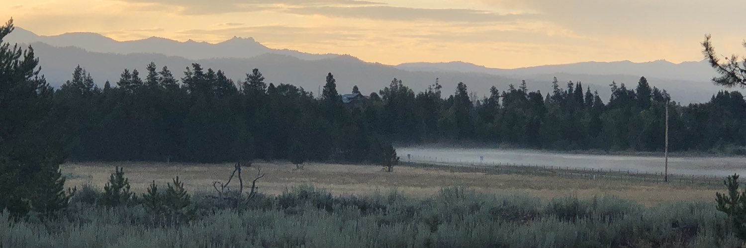 leavingtracks's profile banner image