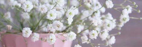 nmk_28j's profile banner image