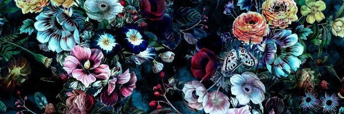 teejb8's profile banner image