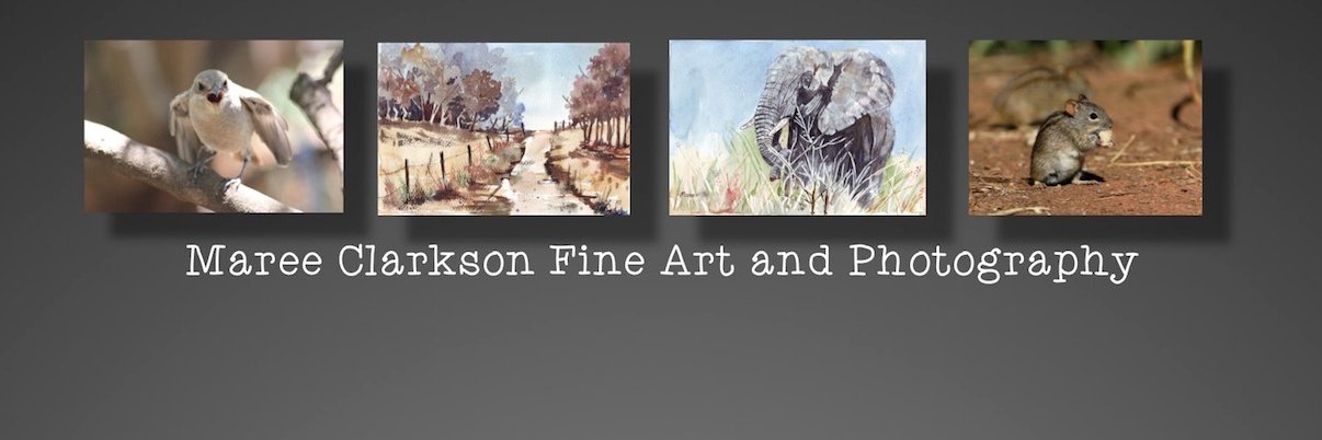 MareeClarkson's profile banner image
