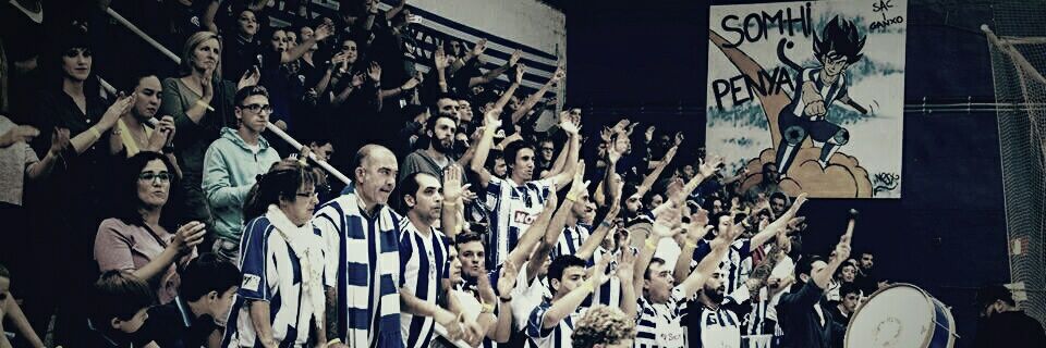 Club Patí Voltregà-Movento Stern banner