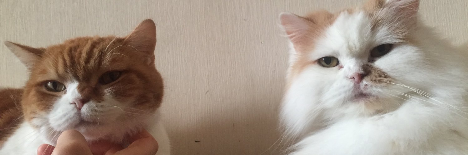 D_Libster's profile banner image