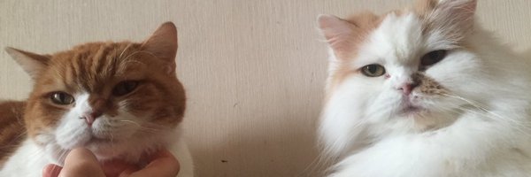 D_Libster Profile Banner