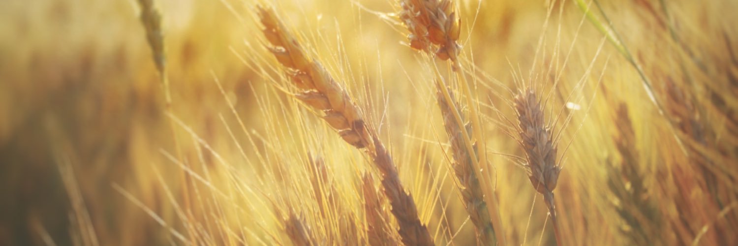 emilygoldeman's profile banner image