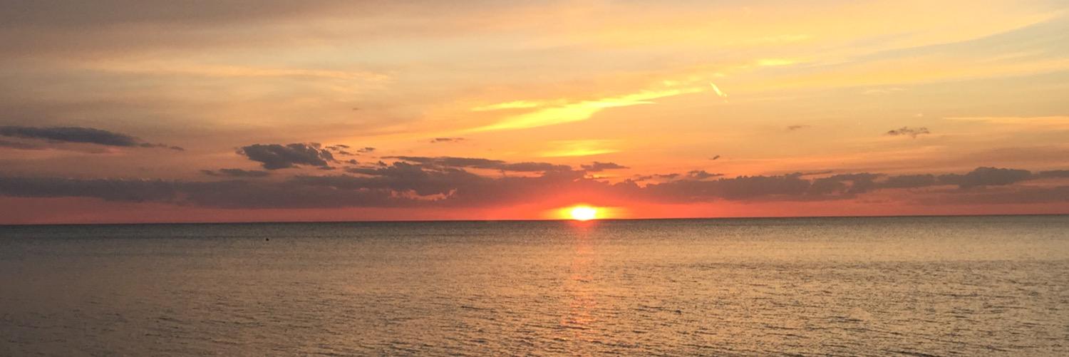 HaleyShimek's profile banner image