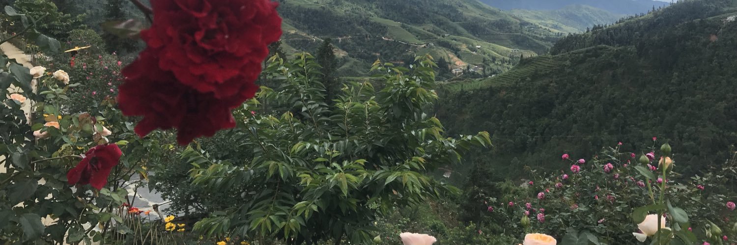 missTN91's profile banner image