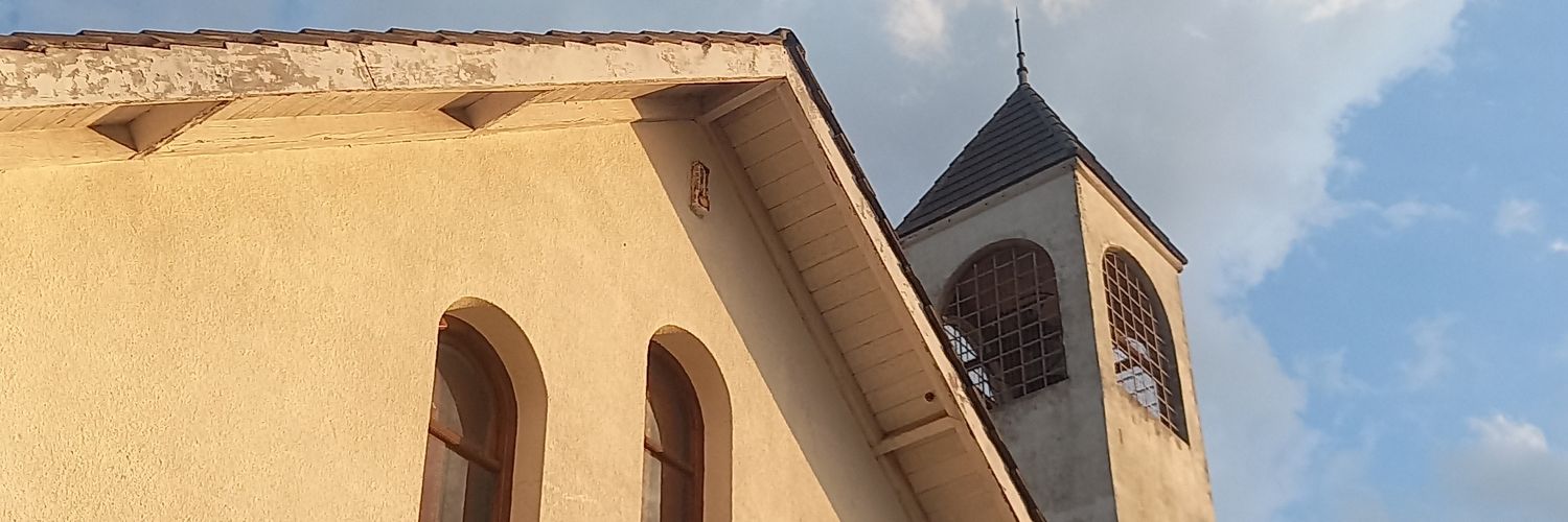 catadantoni's profile banner image