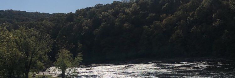 AmyWilson46's profile banner image