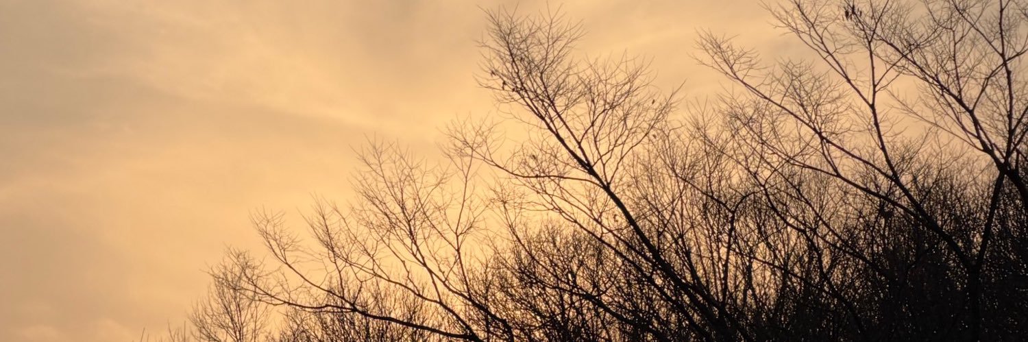 🌸 𝙝𝙖𝙢𝙗𝙖𝙨𝙨𝙖𝙙𝙤𝙧 𝙡𝙤𝙫𝙚 𝙘𝙡𝙪𝙗 🍀 banner