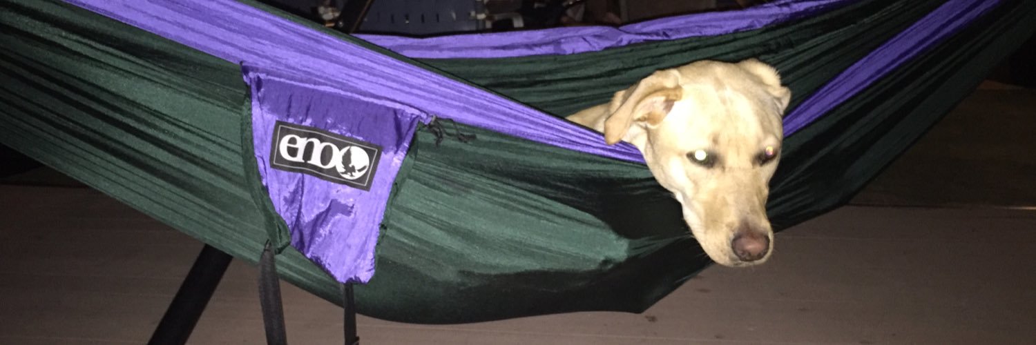 KLilly4's profile banner image