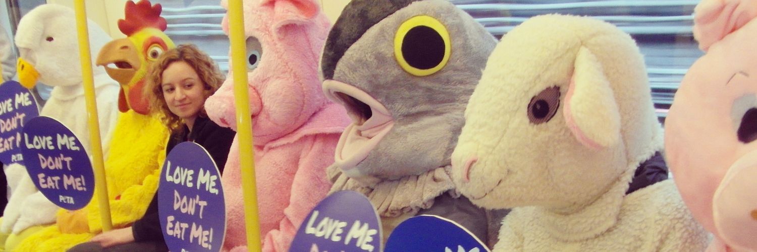 Elisa_Allen's profile banner image