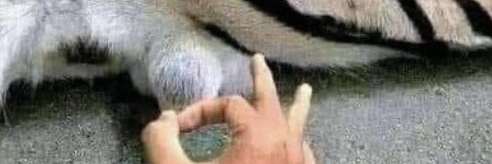 Ben5en's profile banner image