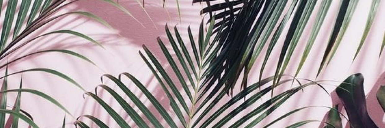 kiwiip3ach's profile banner image